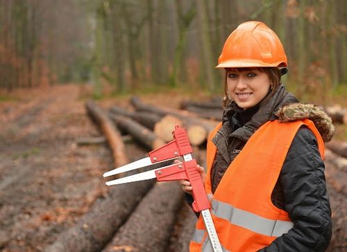 Роль инженера по лесопользованию в современном мире