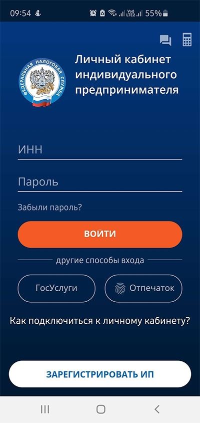 Регистрация в личном кабинете ИП на Налог.ру